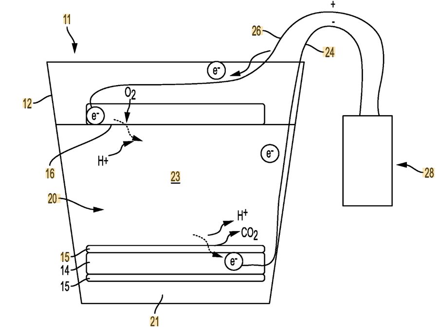 Microbial fuel cell light assembly
